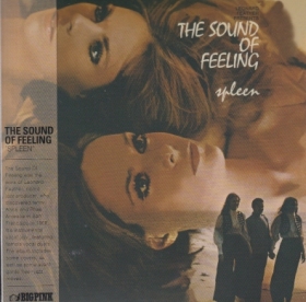 SOUND OF FEELING / SPLEEN ξʾܺ٤