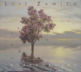LUIZ ZAMITH / INTROSPECCAO ξʾܺ٤